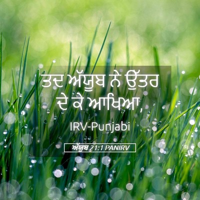 Picture 05 - ਅੱਯੂਬ 21:1 PANIRV - ਤਦ ਅੱਯੂਬ ਨੇ ਉੱਤਰ ਦੇ - Bible Verse Picture