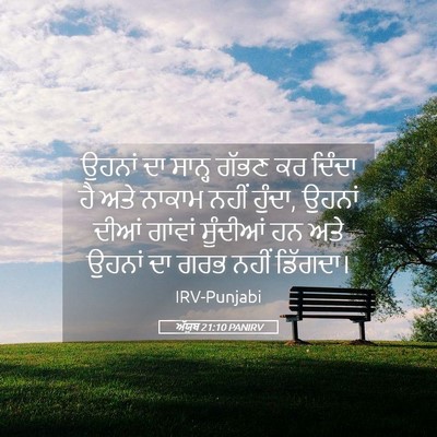 Picture 05 - ਅੱਯੂਬ 21:10 PANIRV - ਉਹਨਾਂ ਦਾ ਸਾਨ੍ਹ - Bible Verse Picture