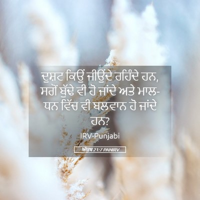 Picture 05 - ਅੱਯੂਬ 21:7 PANIRV - ਦੁਸ਼ਟ ਕਿਉਂ ਜੀਉਂਦੇ - Bible Verse Picture