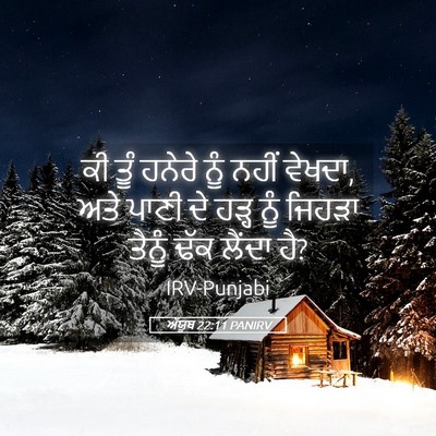 Picture 05 - ਅੱਯੂਬ 22:11 PANIRV - ਕੀ ਤੂੰ ਹਨੇਰੇ ਨੂੰ - Bible Verse Picture