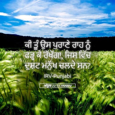 Picture 05 - ਅੱਯੂਬ 22:15 PANIRV - ਕੀ ਤੂੰ ਉਸ ਪੁਰਾਣੇ - Bible Verse Picture
