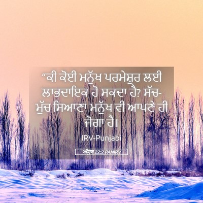 Picture 05 - ਅੱਯੂਬ 22:2 PANIRV - “ਕੀ ਕੋਈ ਮਨੁੱਖ - Bible Verse Picture