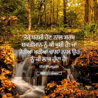 Picture 05 - ਅੱਯੂਬ 22:3 PANIRV - ਤੇਰੇ ਧਰਮੀ ਹੋਣ ਨਾਲ - Bible Verse Picture