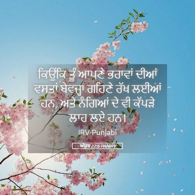 Picture 05 - ਅੱਯੂਬ 22:6 PANIRV - ਕਿਉਂਕਿ ਤੂੰ ਆਪਣੇ - Bible Verse Picture