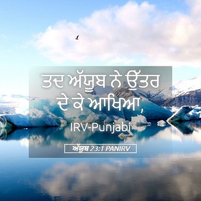 Picture 05 - ਅੱਯੂਬ 23:1 PANIRV - ਤਦ ਅੱਯੂਬ ਨੇ ਉੱਤਰ ਦੇ - Bible Verse Picture