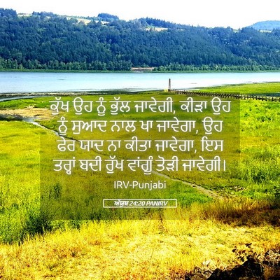 Picture 05 - ਅੱਯੂਬ 24:20 PANIRV - ਕੁੱਖ ਉਹ ਨੂੰ ਭੁੱਲ - Bible Verse Picture