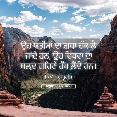 Picture 05 - ਅੱਯੂਬ 24:3 PANIRV - ਉਹ ਯਤੀਮਾਂ ਦਾ ਗਧਾ - Bible Verse Picture