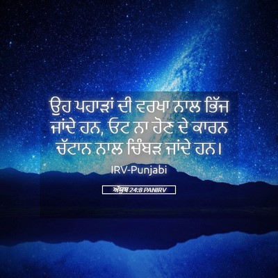 Picture 05 - ਅੱਯੂਬ 24:8 PANIRV - ਉਹ ਪਹਾੜਾਂ ਦੀ ਵਰਖਾ - Bible Verse Picture