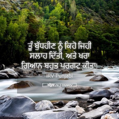 Picture 05 - ਅੱਯੂਬ 26:3 PANIRV - ਤੂੰ ਬੁੱਧਹੀਣ ਨੂੰ - Bible Verse Picture