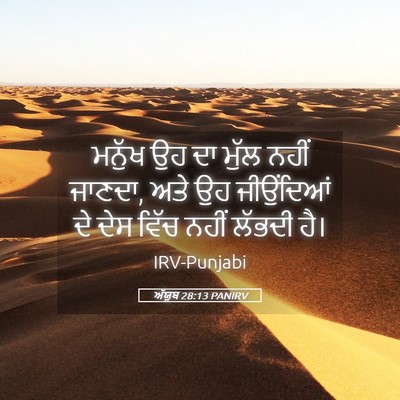 Picture 05 - ਅੱਯੂਬ 28:13 PANIRV - ਮਨੁੱਖ ਉਹ ਦਾ ਮੁੱਲ - Bible Verse Picture