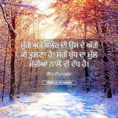 Picture 05 - ਅੱਯੂਬ 28:18 PANIRV - ਮੂੰਗੇ ਅਤੇ ਬਲੌਰ ਦੀ - Bible Verse Picture