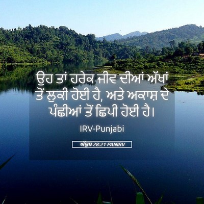 Picture 05 - ਅੱਯੂਬ 28:21 PANIRV - ਉਹ ਤਾਂ ਹਰੇਕ ਜੀਵ - Bible Verse Picture