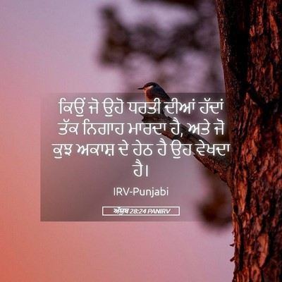 Picture 05 - ਅੱਯੂਬ 28:24 PANIRV - ਕਿਉਂ ਜੋ ਉਹੋ ਧਰਤੀ - Bible Verse Picture