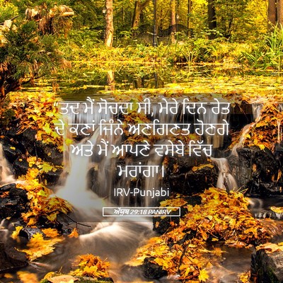 Picture 05 - ਅੱਯੂਬ 29:18 PANIRV - “ਤਦ ਮੈਂ ਸੋਚਦਾ ਸੀ, - Bible Verse Picture