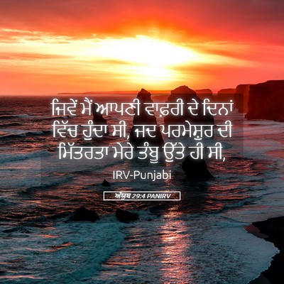 Picture 05 - ਅੱਯੂਬ 29:4 PANIRV - ਜਿਵੇਂ ਮੈਂ ਆਪਣੀ - Bible Verse Picture
