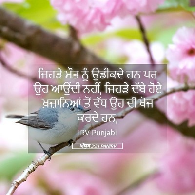 Picture 05 - ਅੱਯੂਬ 3:21 PANIRV - ਜਿਹੜੇ ਮੌਤ ਨੂੰ - Bible Verse Picture