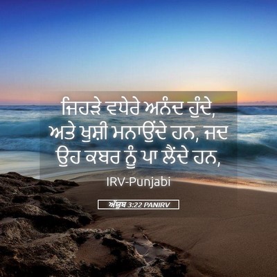 Picture 05 - ਅੱਯੂਬ 3:22 PANIRV - ਜਿਹੜੇ ਵਧੇਰੇ ਅਨੰਦ - Bible Verse Picture