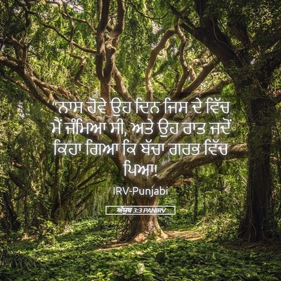 Picture 05 - ਅੱਯੂਬ 3:3 PANIRV - “ਨਾਸ ਹੋਵੇ ਉਹ ਦਿਨ - Bible Verse Picture