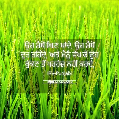 Picture 05 - ਅੱਯੂਬ 30:10 PANIRV - ਉਹ ਮੈਥੋਂ ਘਿਣ ਖਾਂਦੇ, - Bible Verse Picture