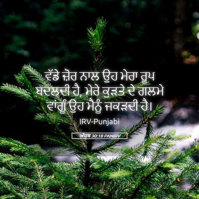 Picture 05 - ਅੱਯੂਬ 30:18 PANIRV - ਵੱਡੇ ਜ਼ੋਰ ਨਾਲ ਉਹ - Bible Verse Picture