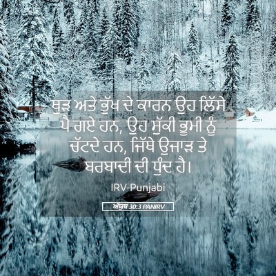 Picture 05 - ਅੱਯੂਬ 30:3 PANIRV - ਥੁੜ ਅਤੇ ਭੁੱਖ ਦੇ - Bible Verse Picture