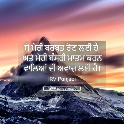 Picture 05 - ਅੱਯੂਬ 30:31 PANIRV - ਸੋ ਮੇਰੀ ਬਰਬਤ ਰੋਣ ਲਈ - Bible Verse Picture
