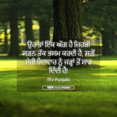Picture 05 - ਅੱਯੂਬ 31:12 PANIRV - ਉਹ ਤਾਂ ਇੱਕ ਅੱਗ ਹੈ - Bible Verse Picture