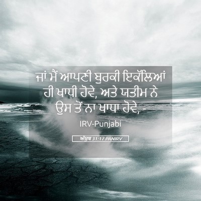 Picture 05 - ਅੱਯੂਬ 31:17 PANIRV - ਜਾਂ ਮੈਂ ਆਪਣੀ ਬੁਰਕੀ - Bible Verse Picture