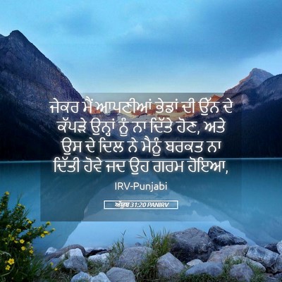 Picture 05 - ਅੱਯੂਬ 31:20 PANIRV - ਜੇਕਰ ਮੈਂ ਆਪਣੀਆਂ - Bible Verse Picture