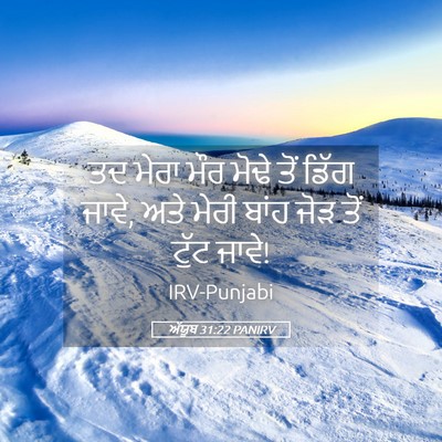 Picture 05 - ਅੱਯੂਬ 31:22 PANIRV - ਤਦ ਮੇਰਾ ਮੌਰ ਮੋਢੇ - Bible Verse Picture
