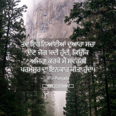 Picture 05 - ਅੱਯੂਬ 31:28 PANIRV - ਤਦ ਇਹ ਨਿਆਂਈਆਂ - Bible Verse Picture