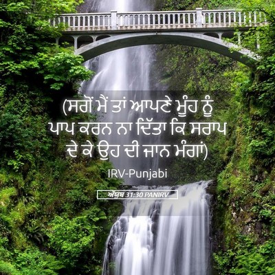 Picture 05 - ਅੱਯੂਬ 31:30 PANIRV - (ਸਗੋਂ ਮੈਂ ਤਾਂ ਆਪਣੇ - Bible Verse Picture