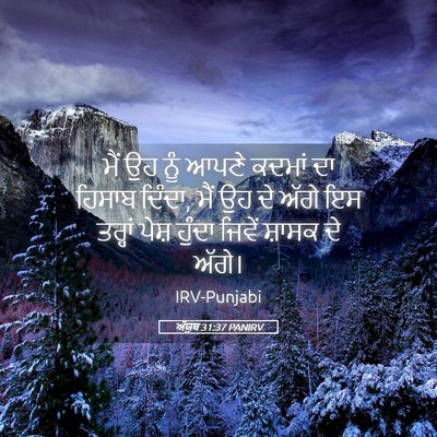 Picture 05 - ਅੱਯੂਬ 31:37 PANIRV - ਮੈਂ ਉਹ ਨੂੰ ਆਪਣੇ - Bible Verse Picture