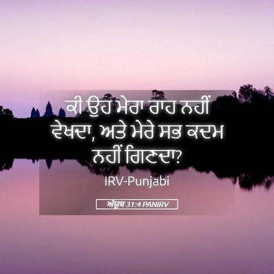 Picture 05 - ਅੱਯੂਬ 31:4 PANIRV - ਕੀ ਉਹ ਮੇਰਾ ਰਾਹ ਨਹੀਂ - Bible Verse Picture