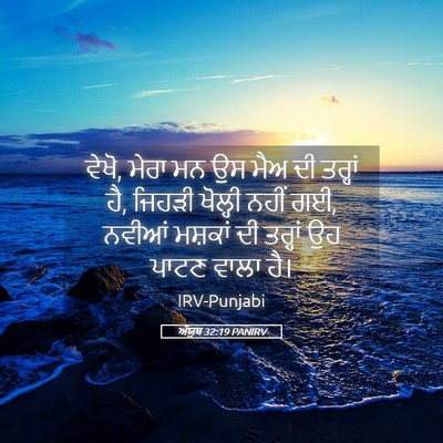 Picture 05 - ਅੱਯੂਬ 32:19 PANIRV - ਵੇਖੋ, ਮੇਰਾ ਮਨ ਉਸ - Bible Verse Picture