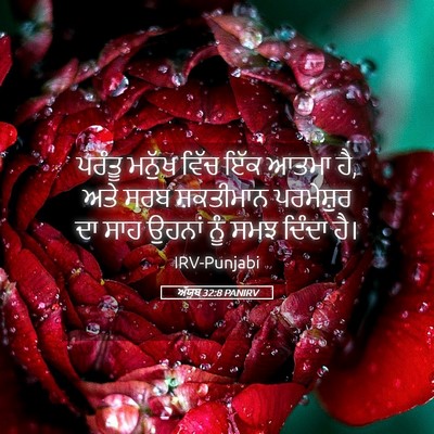 Picture 05 - ਅੱਯੂਬ 32:8 PANIRV - ਪਰੰਤੂ ਮਨੁੱਖ ਵਿੱਚ - Bible Verse Picture
