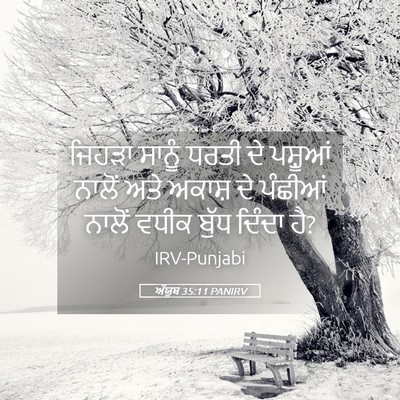 Picture 05 - ਅੱਯੂਬ 35:11 PANIRV - ਜਿਹੜਾ ਸਾਨੂੰ ਧਰਤੀ - Bible Verse Picture