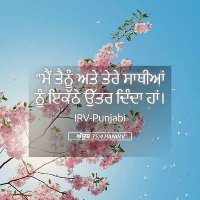 Picture 05 - ਅੱਯੂਬ 35:4 PANIRV - “ਮੈਂ ਤੈਨੂੰ ਅਤੇ - Bible Verse Picture