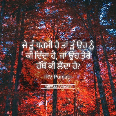 Picture 05 - ਅੱਯੂਬ 35:7 PANIRV - ਜੇ ਤੂੰ ਧਰਮੀ ਹੈ ਤਾਂ - Bible Verse Picture