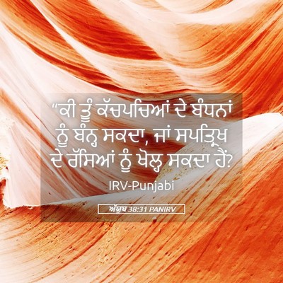 Picture 05 - ਅੱਯੂਬ 38:31 PANIRV - “ਕੀ ਤੂੰ ਕੱਚਪਚਿਆਂ - Bible Verse Picture