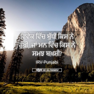 Picture 05 - ਅੱਯੂਬ 38:36 PANIRV - ਵਿਵੇਕ ਵਿੱਚ ਬੁੱਧੀ - Bible Verse Picture