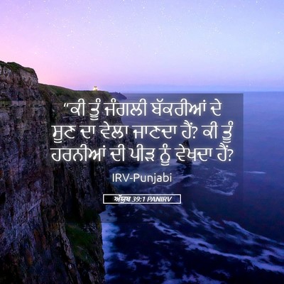 Picture 05 - ਅੱਯੂਬ 39:1 PANIRV - “ਕੀ ਤੂੰ ਜੰਗਲੀ - Bible Verse Picture