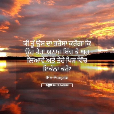 Picture 05 - ਅੱਯੂਬ 39:12 PANIRV - ਕੀ ਤੂੰ ਉਸ ਦਾ ਭਰੋਸਾ - Bible Verse Picture