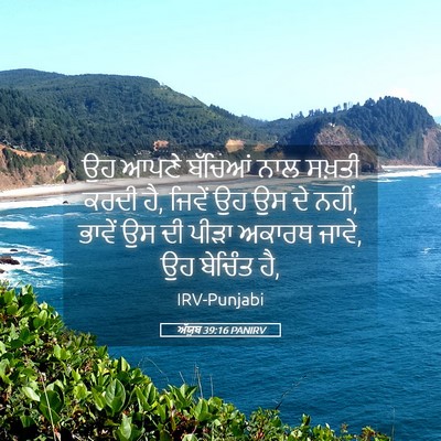 Picture 05 - ਅੱਯੂਬ 39:16 PANIRV - ਉਹ ਆਪਣੇ ਬੱਚਿਆਂ ਨਾਲ - Bible Verse Picture