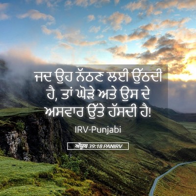 Picture 05 - ਅੱਯੂਬ 39:18 PANIRV - ਜਦ ਉਹ ਨੱਠਣ ਲਈ ਉੱਠਦੀ - Bible Verse Picture