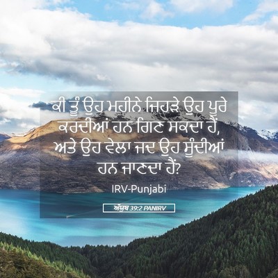 Picture 05 - ਅੱਯੂਬ 39:2 PANIRV - ਕੀ ਤੂੰ ਉਹ ਮਹੀਨੇ - Bible Verse Picture