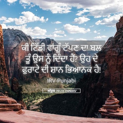 Picture 05 - ਅੱਯੂਬ 39:20 PANIRV - ਕੀ ਟਿੱਡੀ ਵਾਂਗੂੰ - Bible Verse Picture