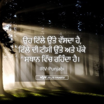 Picture 05 - ਅੱਯੂਬ 39:28 PANIRV - ਉਹ ਟਿੱਲੇ ਉੱਤੇ - Bible Verse Picture