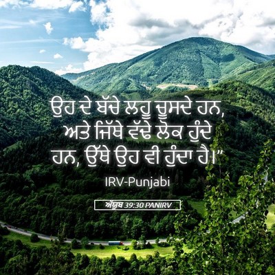 Picture 05 - ਅੱਯੂਬ 39:30 PANIRV - ਉਹ ਦੇ ਬੱਚੇ ਲਹੂ - Bible Verse Picture