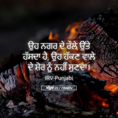 Picture 05 - ਅੱਯੂਬ 39:7 PANIRV - ਉਹ ਨਗਰ ਦੇ ਰੌਲ਼ੇ - Bible Verse Picture